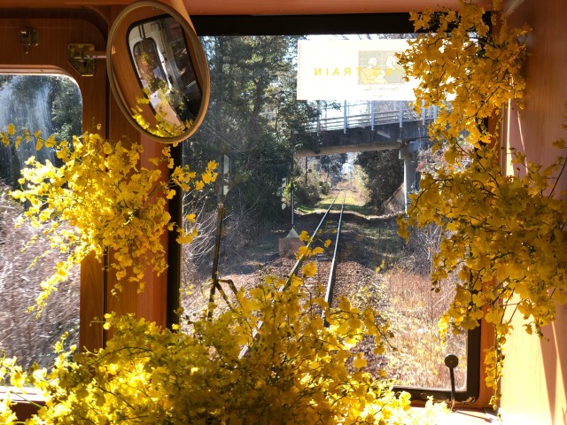 Wedding train (MC)